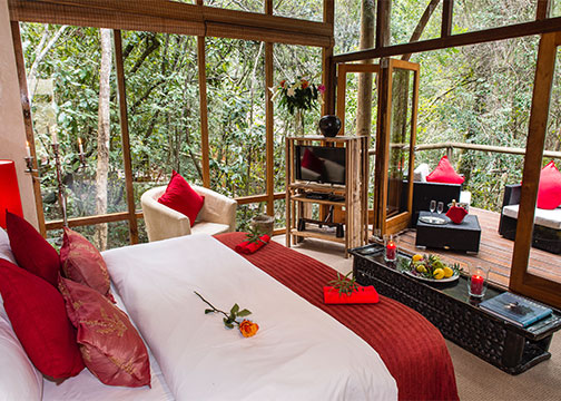 Lodges & Suites